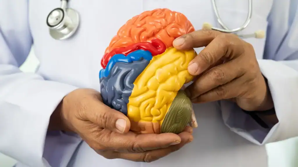 Learn how neurofeedback could improve auditory processing by supporting focus, listening skills, and brain function in noisy environments.